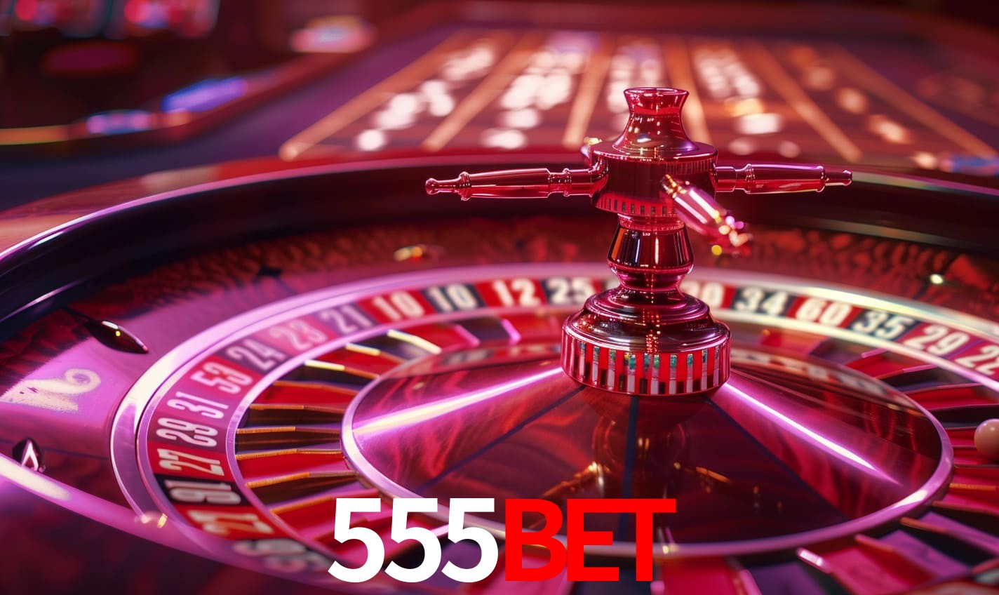 Interface Premium 555bet